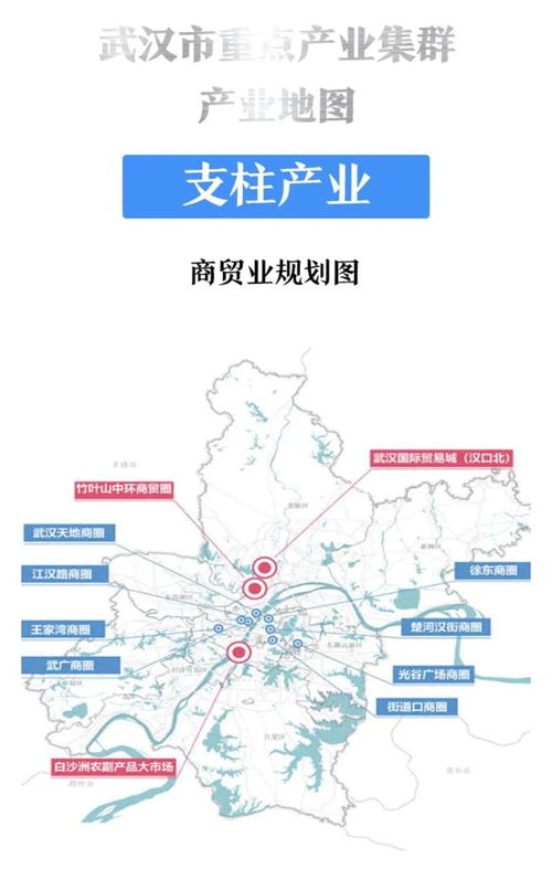 武漢首部產(chǎn)業(yè)地圖發(fā)布，商品貿(mào)易新格局加速形成